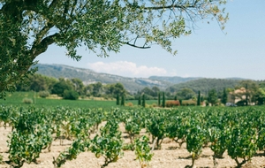 Tinazzi-Aubagne-Lascours-La Bouilladisse-Le Chenil-Valdonne-Gréasque-Fuveau-Belcodène-La Pomme- Le Chenil-Roquevaire Tinazzi. 55 Kms (Parcours bis) sans Lascours, direct Roquevaire