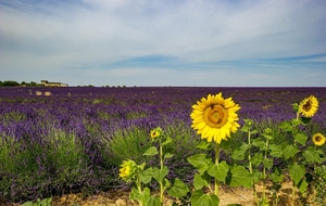 Tinazzi, Riboux, Tinazzi: 59km,D+780m