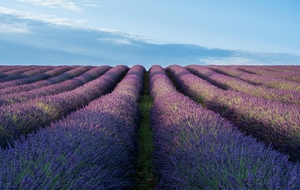 Tinazzi- la Bédoule  Cassis - La Ciotat  Ceyreste  Caunet - Tinazzi : 60 Km