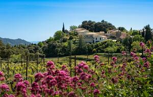 Tinazzi  Aubagne  Lascours  La Bouilladisse  Le Chenil  Valdonne  Gréasque  Fuveau  Les Michels  Peynier  Le Juillet  La Pomme  Roquevaire  Tinazzi.65 Km - (Parcours bis) Gréasque et retour Tinazzi 50 Km