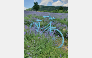 Tinazzi  Aubagne  Roquevaire  Auriol  Moulin de Redon  St Zacharie  La Sambuc  Rougiers  Retour Tinazzi 70 Km - (Parcours bis) Arrt caf  St Zacharie ou Nans et retour 50 km