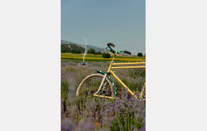 Tinazzi  Aubagne  Lascours  La Bouilladisse  Le Chenil  Valdonne  Gréasque  Fuveau  Les Michels  Peynier  Le Juillet  La Pomme  Roquevaire  Tinazzi.65Km  - (Parcours bis) Gréasque et retour 50 Km