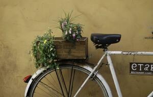 Parcours Bis: Tinazzi Auriol-Saint Zacharie-La  Sambuc-Tour de Nans-Saint Zacharie-Roquevaire-Tinazzi