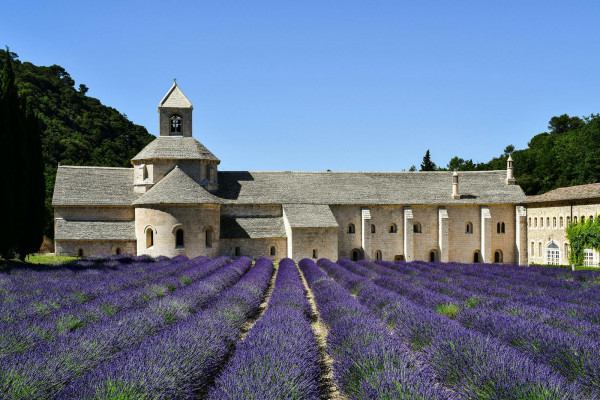 Tinazzi-Gémenos-Le Col de l'Ange-Le Camp-Signes-Méounes  Le Martinet-La valle du Gapeau-Le Camp-La Bégude-Caunet-Gémenos-Tinazzi-95 kms(Parcours bis) Signes et retour.70 kms