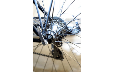 Calendrier des sorties de Mars