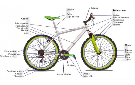 Anatomie d'un Vélo