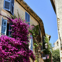 (Parcours Bis)Tinazzi-Aubagne-La Pomme-Peynier-Trets-Le petit Galibier-St Zacharie-Auriol-Tinazzi.