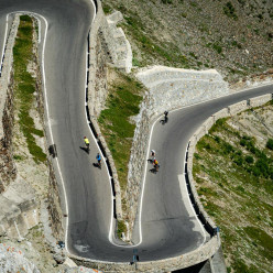 Tinazzi Greasque