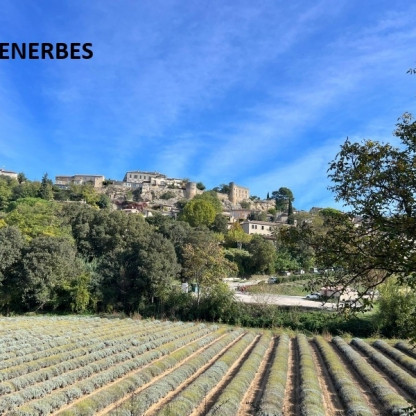 Sortie journée dans le Luberon
