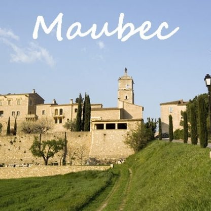 Sortie journée dans le Luberon